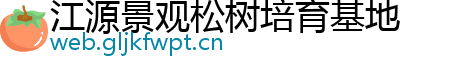 江源景观松树培育基地